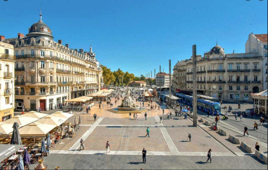 Appartement T3 Sur L'Esplanade De L'Europe モンペリエ エクステリア 写真